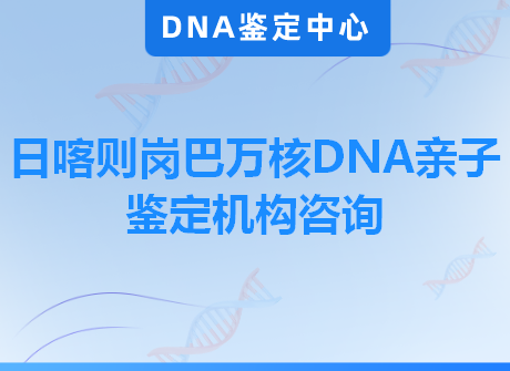 日喀则岗巴万核DNA亲子鉴定机构咨询