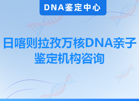 日喀则拉孜万核DNA亲子鉴定机构咨询