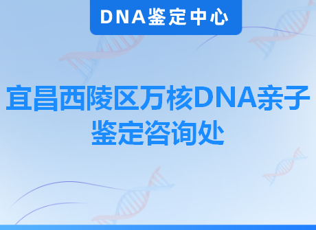 宜昌西陵区万核DNA亲子鉴定咨询处