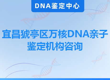 宜昌猇亭区万核DNA亲子鉴定机构咨询