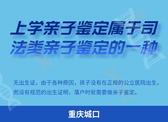 重庆城口学籍上学或考试亲子鉴定