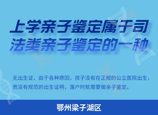 鄂州梁子湖区学籍上学或考试亲子鉴定