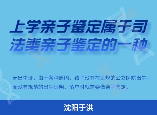 沈阳于洪学籍上学、考试亲子鉴定