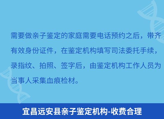 宜昌远安县学籍上学、考试亲子鉴定