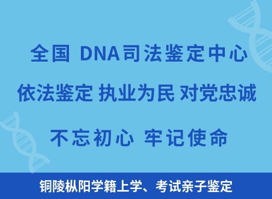铜陵枞阳学籍上学、考试亲子鉴定