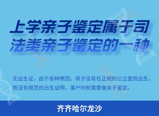 齐齐哈尔龙沙学籍上学、考试亲子鉴定