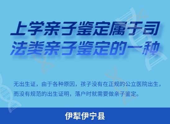 伊犁伊宁县学籍上学、考试亲子鉴定