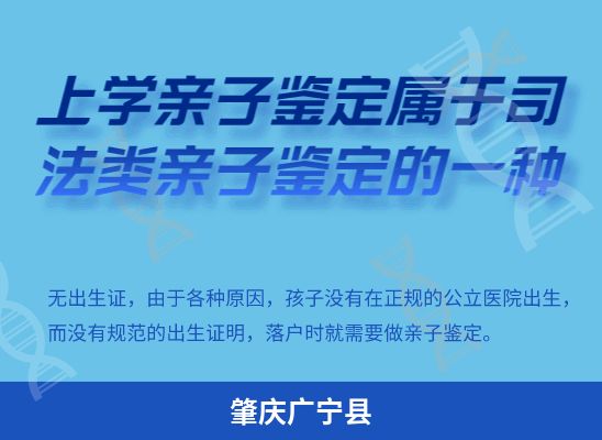 肇庆广宁县学籍上学、考试亲子鉴定