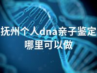 抚州个人dna亲子鉴定哪里可以做