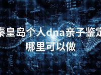 秦皇岛个人dna亲子鉴定哪里可以做