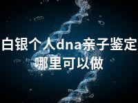 白银个人dna亲子鉴定哪里可以做