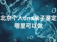 北京个人dna亲子鉴定哪里可以做