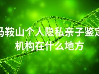 马鞍山个人隐私亲子鉴定机构在什么地方