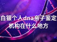 白银个人dna亲子鉴定机构在什么地方