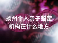 扬州个人亲子鉴定机构在什么地方