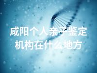 咸阳个人亲子鉴定机构在什么地方