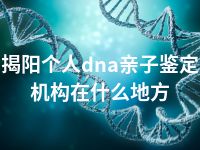 揭阳个人dna亲子鉴定机构在什么地方