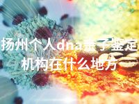 扬州个人dna亲子鉴定机构在什么地方
