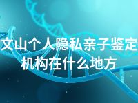 文山个人隐私亲子鉴定机构在什么地方
