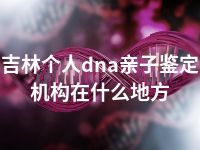 吉林个人dna亲子鉴定机构在什么地方