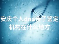 安庆个人dna亲子鉴定机构在什么地方