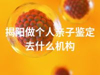 揭阳做个人亲子鉴定去什么机构