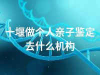 十堰做个人亲子鉴定去什么机构