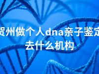 贺州做个人dna亲子鉴定去什么机构