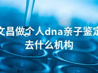 文昌做个人dna亲子鉴定去什么机构