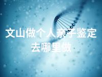 文山做个人亲子鉴定去哪里做
