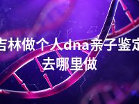 吉林做个人dna亲子鉴定去哪里做