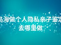乌海做个人隐私亲子鉴定去哪里做