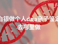 白银做个人dna亲子鉴定去哪里做