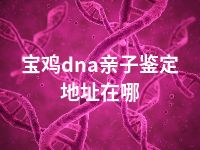 宝鸡dna亲子鉴定地址在哪