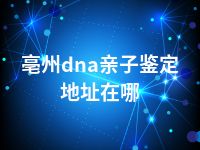 亳州dna亲子鉴定地址在哪