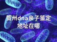 贺州dna亲子鉴定地址在哪