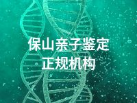 保山亲子鉴定正规机构