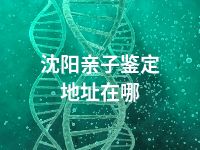 沈阳亲子鉴定地址在哪