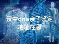 汉中dna亲子鉴定地址在哪
