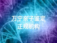万宁亲子鉴定正规机构