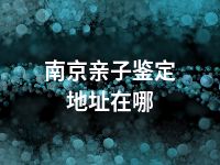 南京亲子鉴定地址在哪