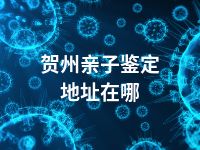 贺州亲子鉴定地址在哪
