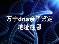 万宁dna亲子鉴定地址在哪