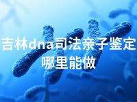 吉林dna司法亲子鉴定哪里能做