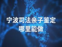 宁波司法亲子鉴定哪里能做