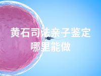 黄石司法亲子鉴定哪里能做