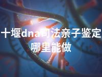 十堰dna司法亲子鉴定哪里能做