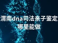 渭南dna司法亲子鉴定哪里能做