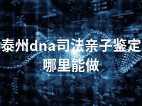泰州dna司法亲子鉴定哪里能做