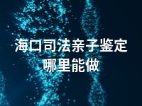 海口司法亲子鉴定哪里能做